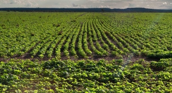 FCO Rural ultrapassa R$ 1 bilhão em financiamentos aprovados em 2025